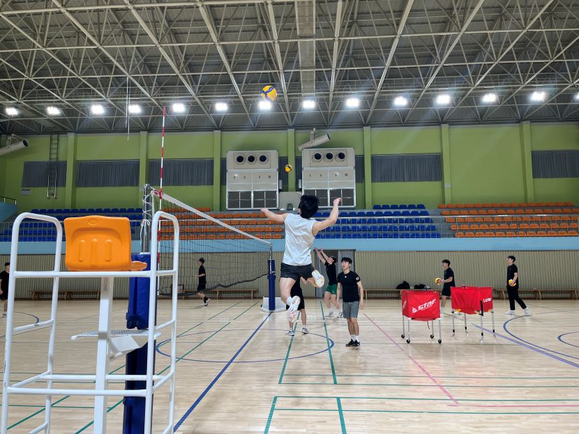 배구4